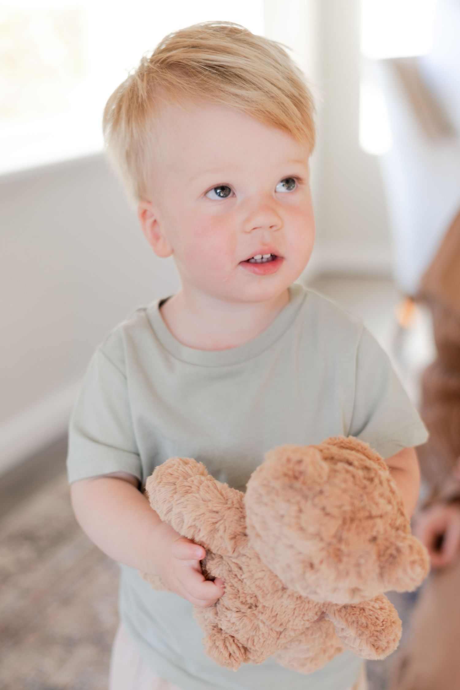 Young toddler in gray shirt holding a soft teddy bear while standing indoors.