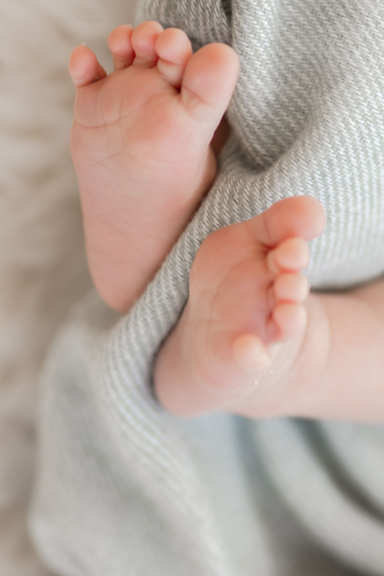 Close-up of tiny baby feet against soft gray knit fabric.