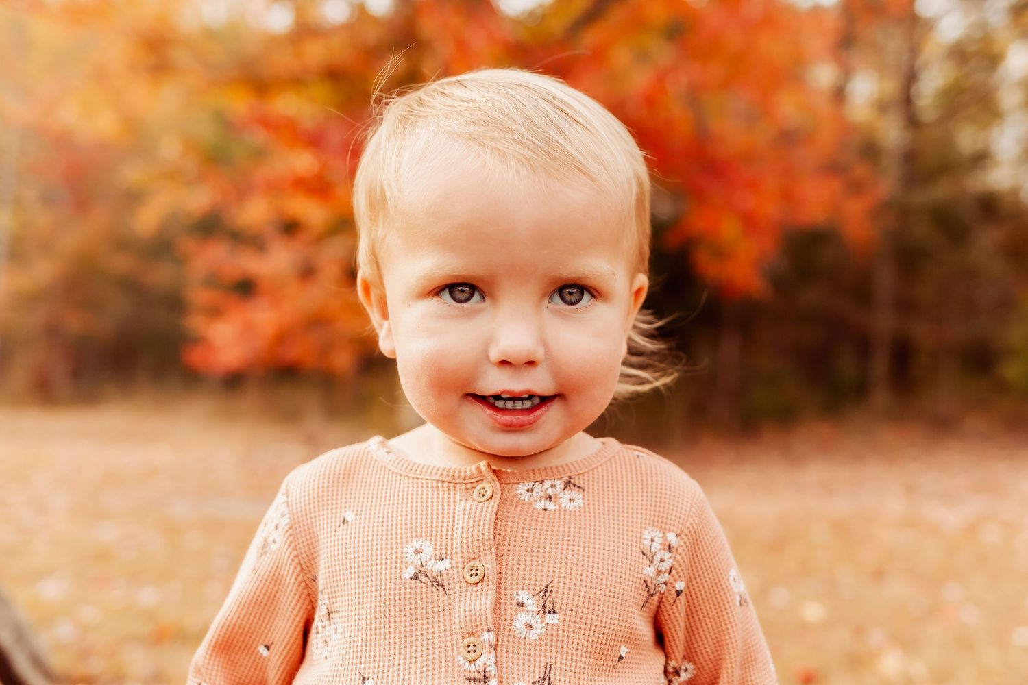 Virginia Family Photographer, Portrait Photography in Virginia, Virginia Photographer, Virginia Portraits, Children's Photographer in Va