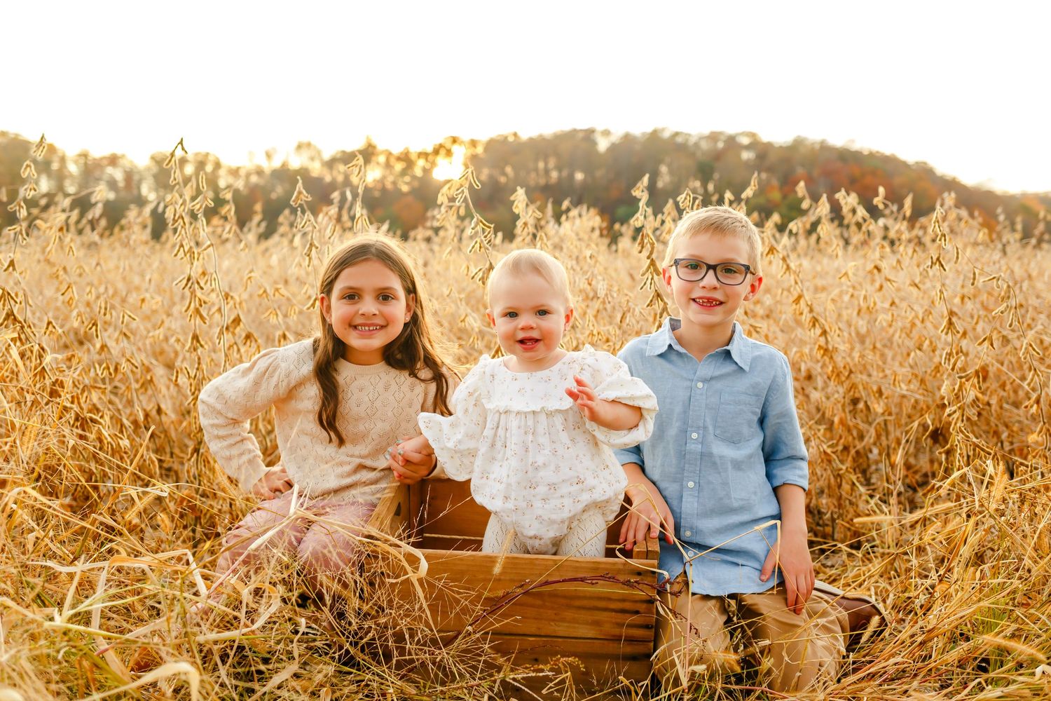 Virginia Family Photographer, Portrait Photography in Virginia, Virginia Photographer, Virginia Portraits, Children's Photographer in Va