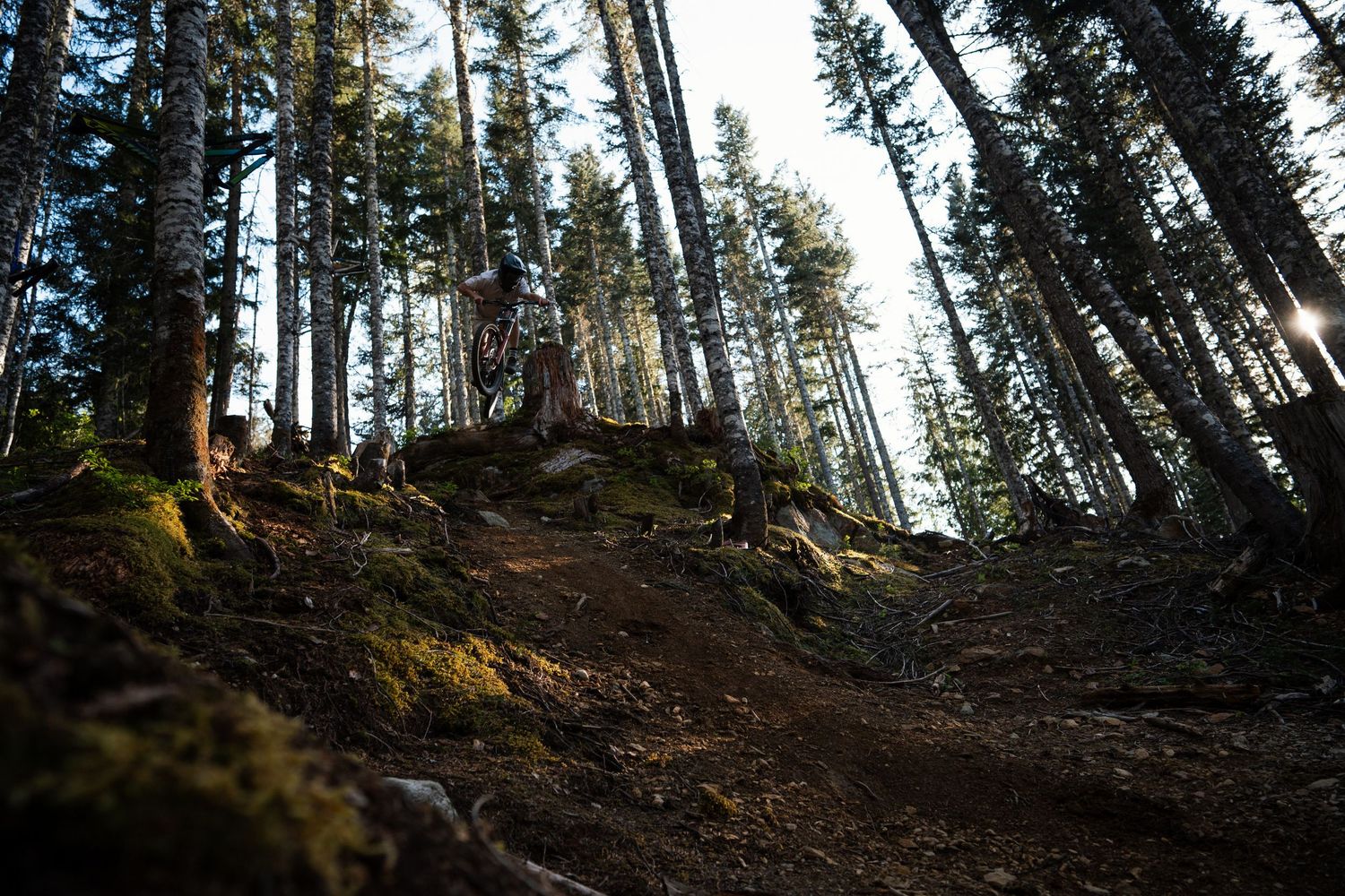Mountain biker performing jump over rocky trail through sunlit forest on downhill path.