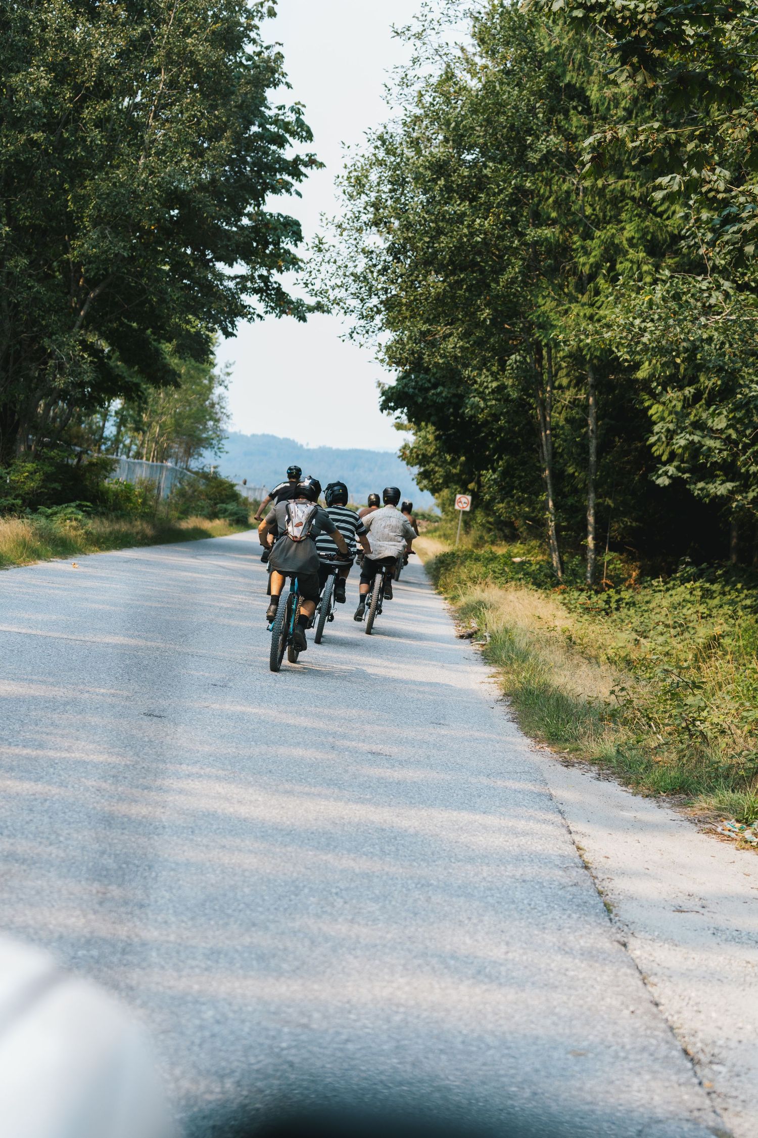 Group of cyclists riding along a tree-lined country road on a sunny day.