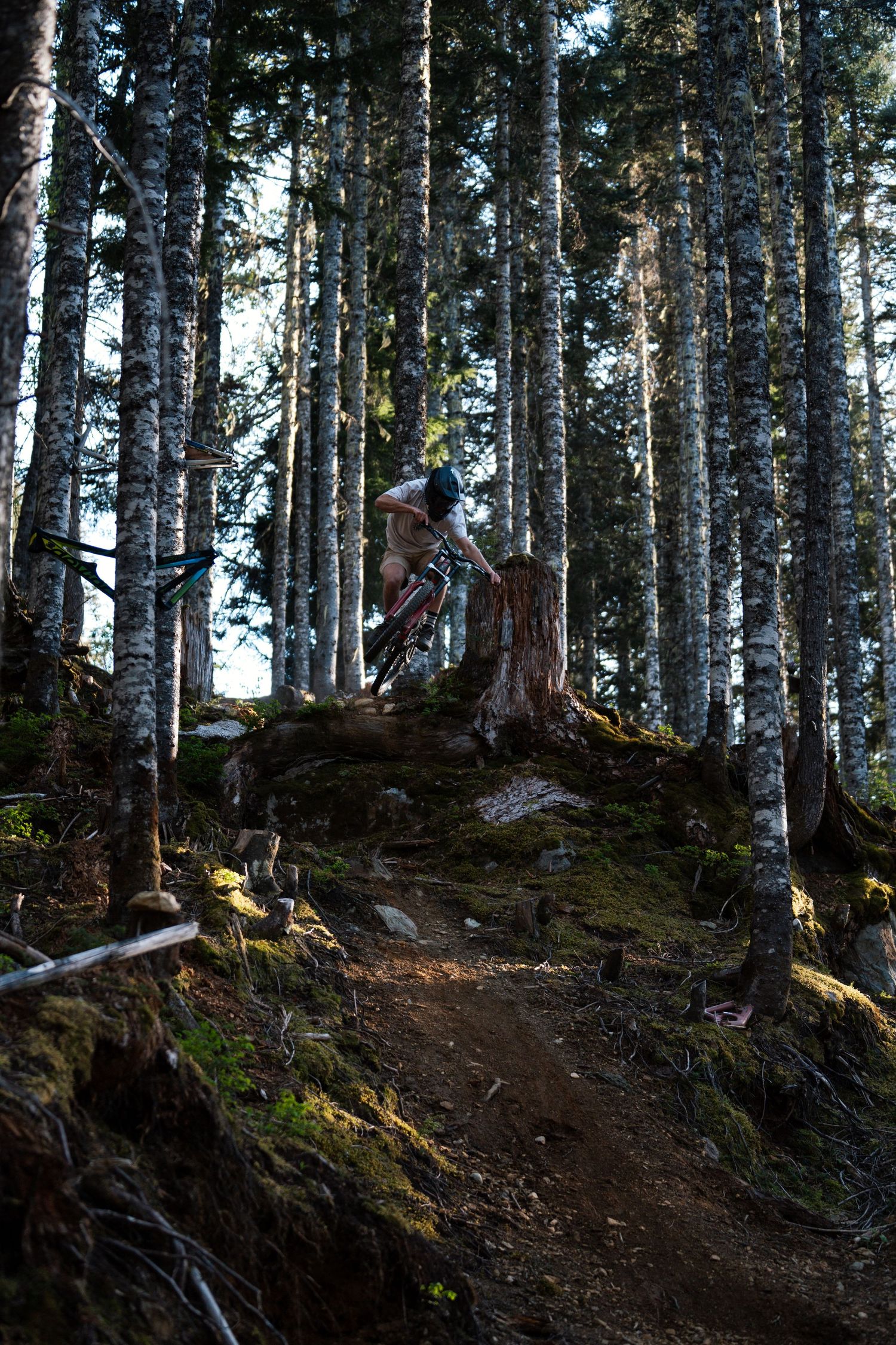 Mountain biker riding down a steep rocky trail through a dense forest with mossy ground.