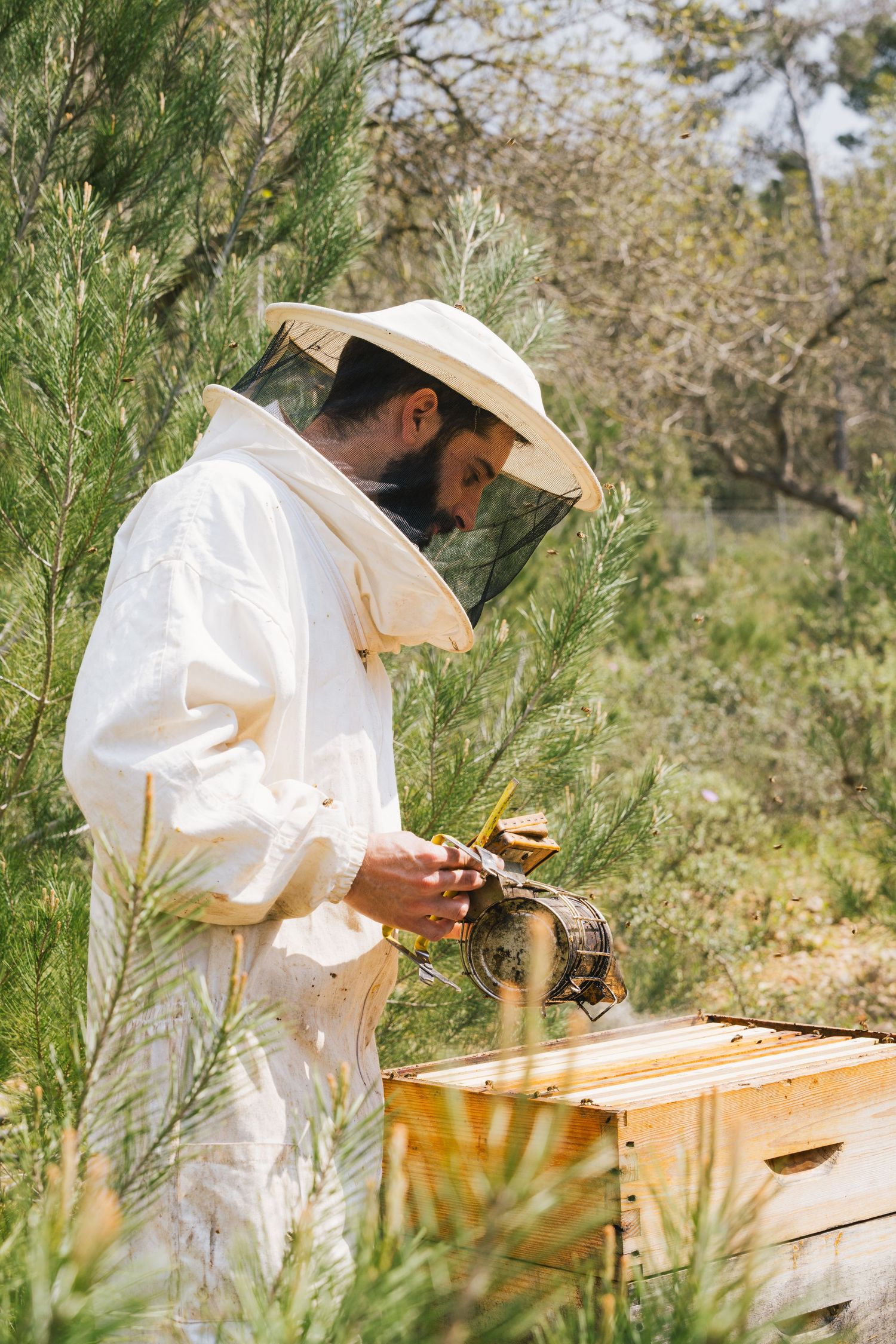 Beekeeper in white protective suit tending to a wooden beehive in a sunny garden.
