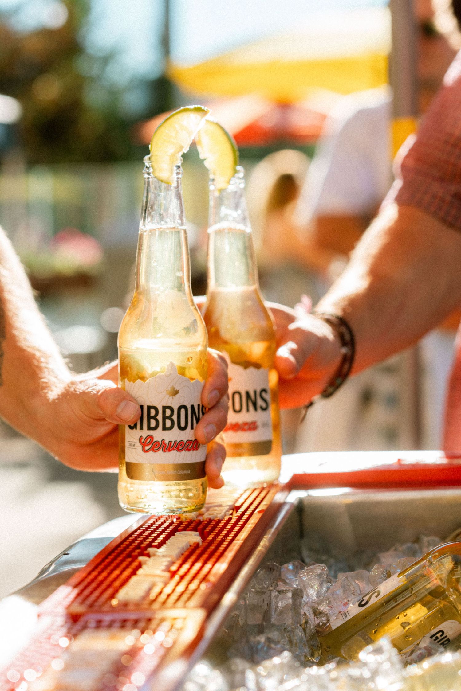 Two hands clinking Gibbons Cerveza beer bottles with lime slices over an ice-filled cooler.