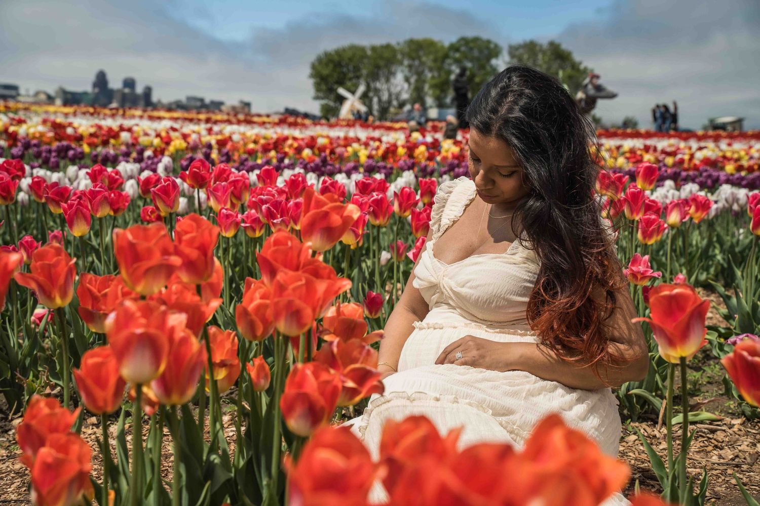 Beautiful tulip field with vibrant red and pink flowers stretching to the horizon.