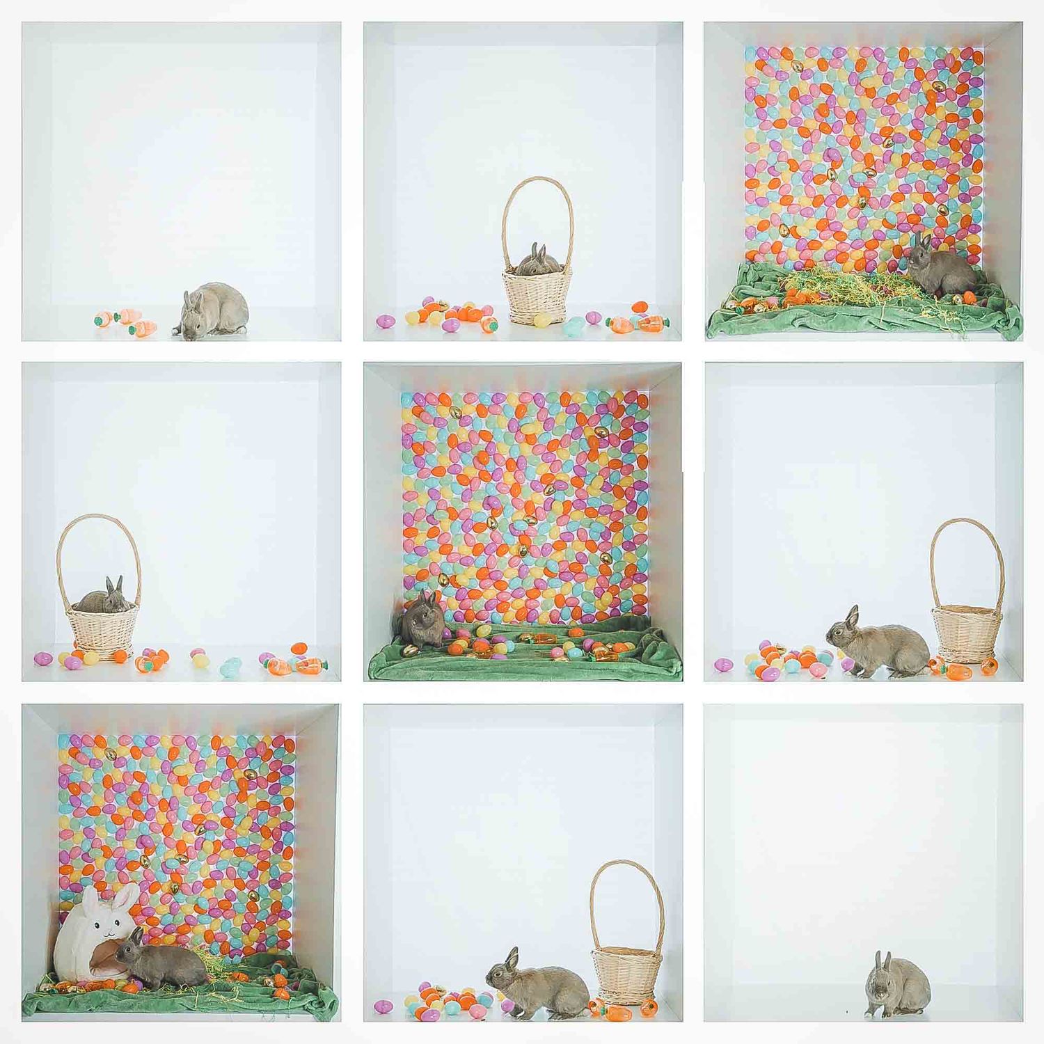 Easter themed photo collection with floral backdrop and bunny basket props.
