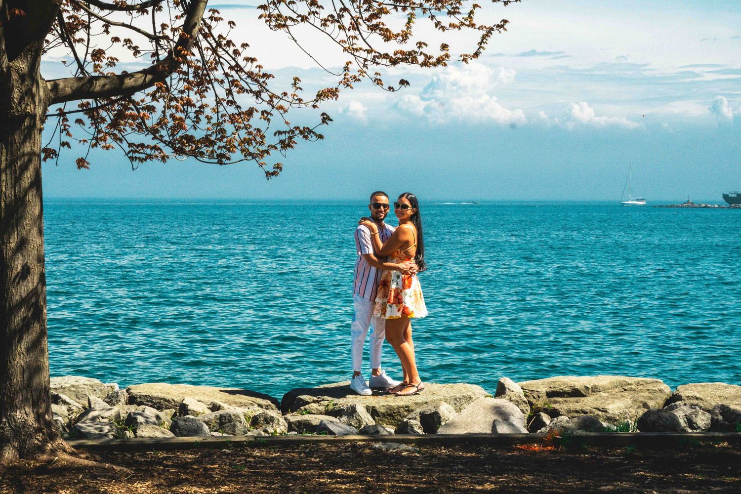 A couple shares an intimate moment on rocky shoreline with blooming tree and ocean view.