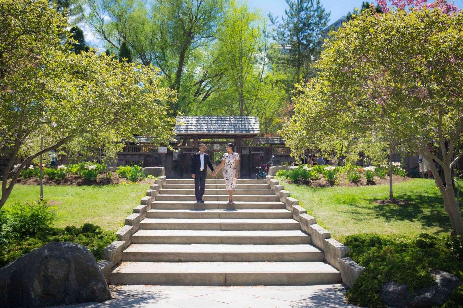 Cherry blossom trees line a wooden bridge walkway in a serene garden setting.