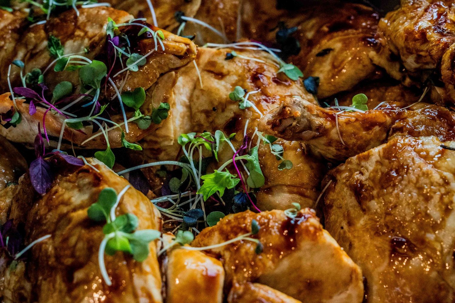 Close-up of glazed roasted chicken pieces garnished with fresh colorful microgreens herbs.