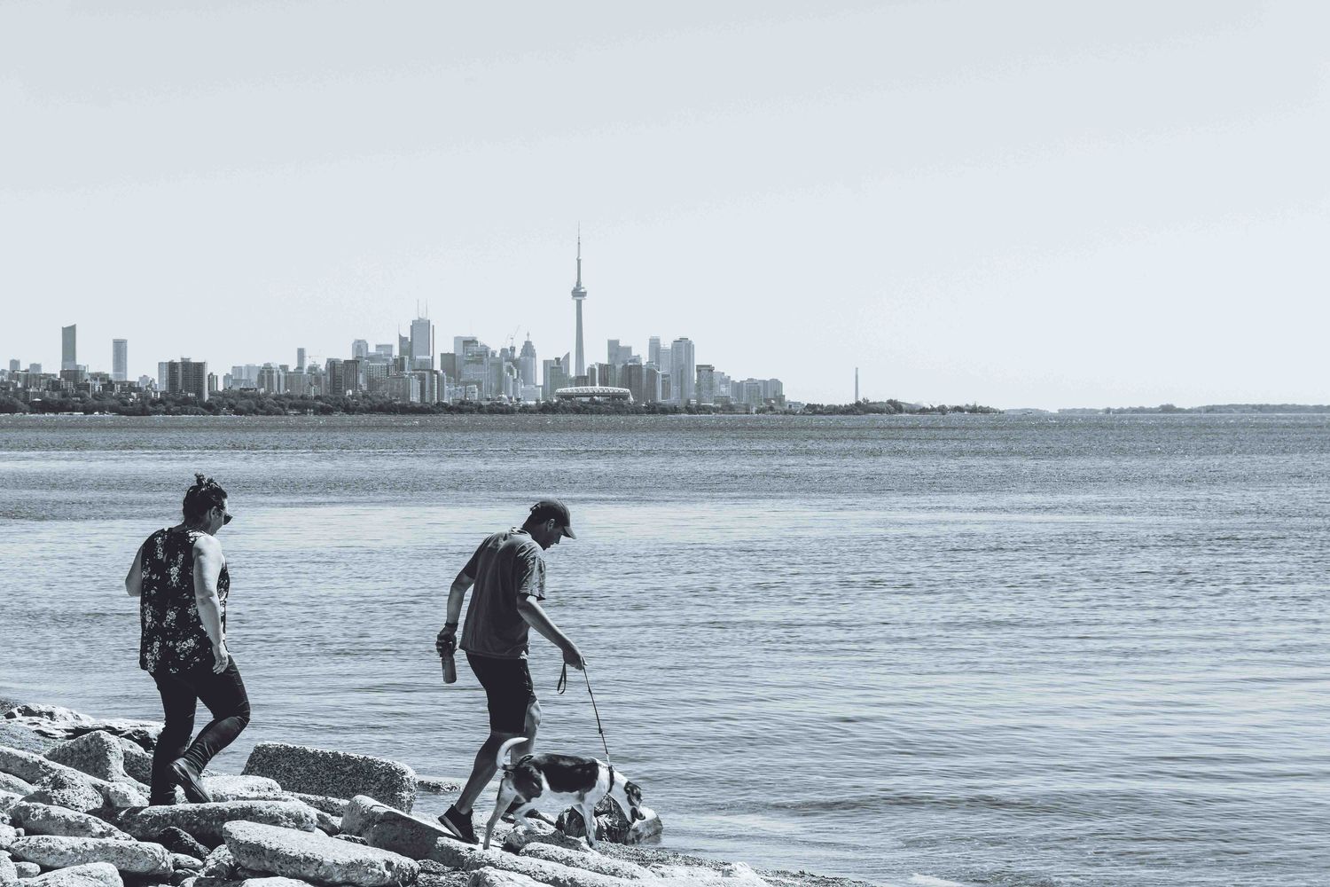 Panoramic sequence of a couple playfully running and jumping along a scenic beach with city skyline in background.