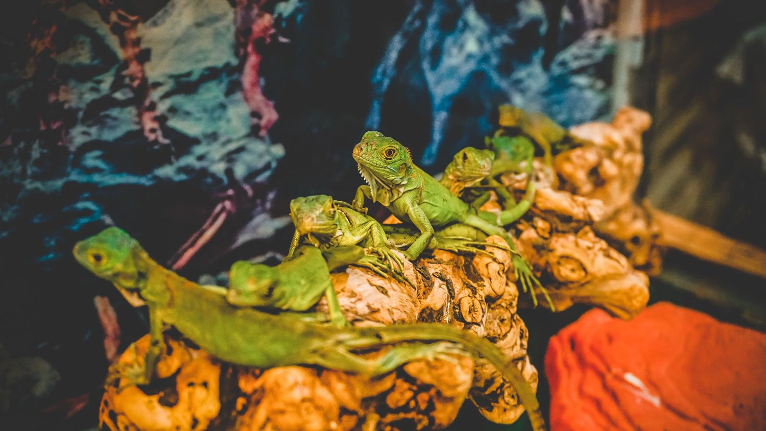 Green plastic toy dinosaurs displayed against a dark dramatic background.