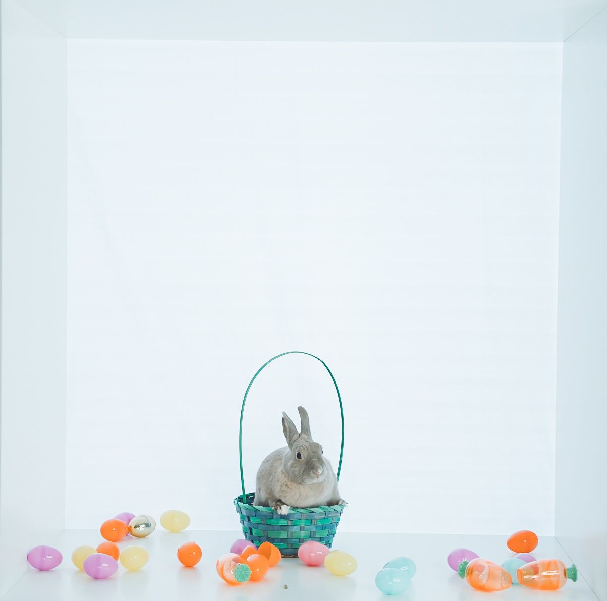 Easter scene with white bunny and teal basket surrounded by pastel eggs on white background.