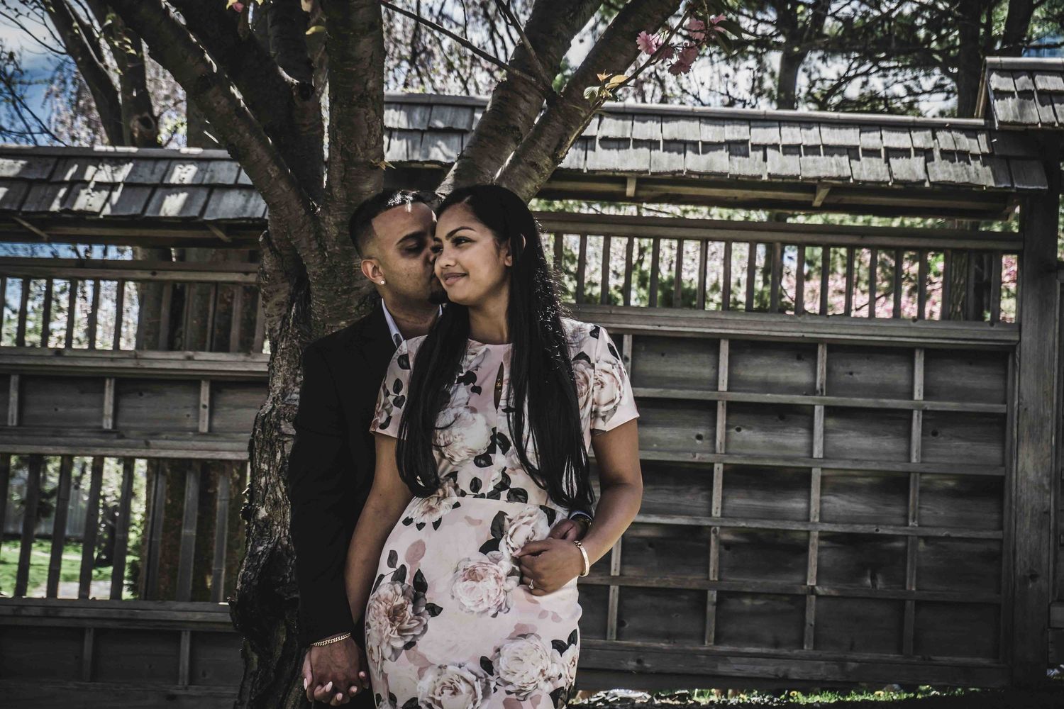 A couple shares a romantic moment under flowering cherry blossom trees near a wooden fence.