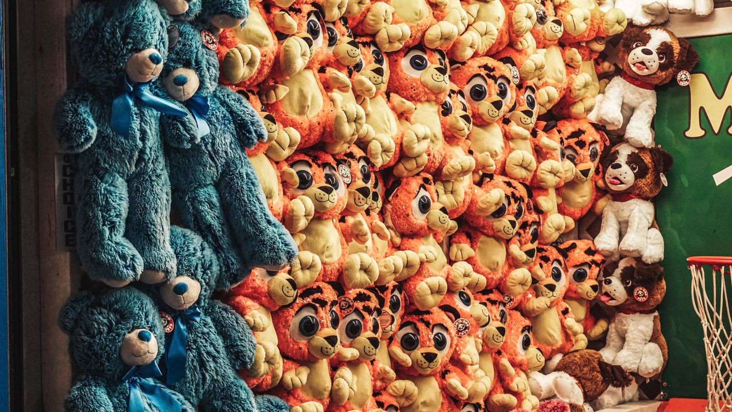 Collection of vintage teddy bears displayed in blue and orange color scheme.
