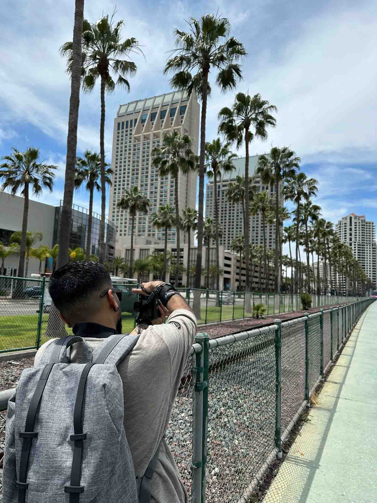 Urban cityscape with palm trees lining a walkway and high-rise buildings in the background.