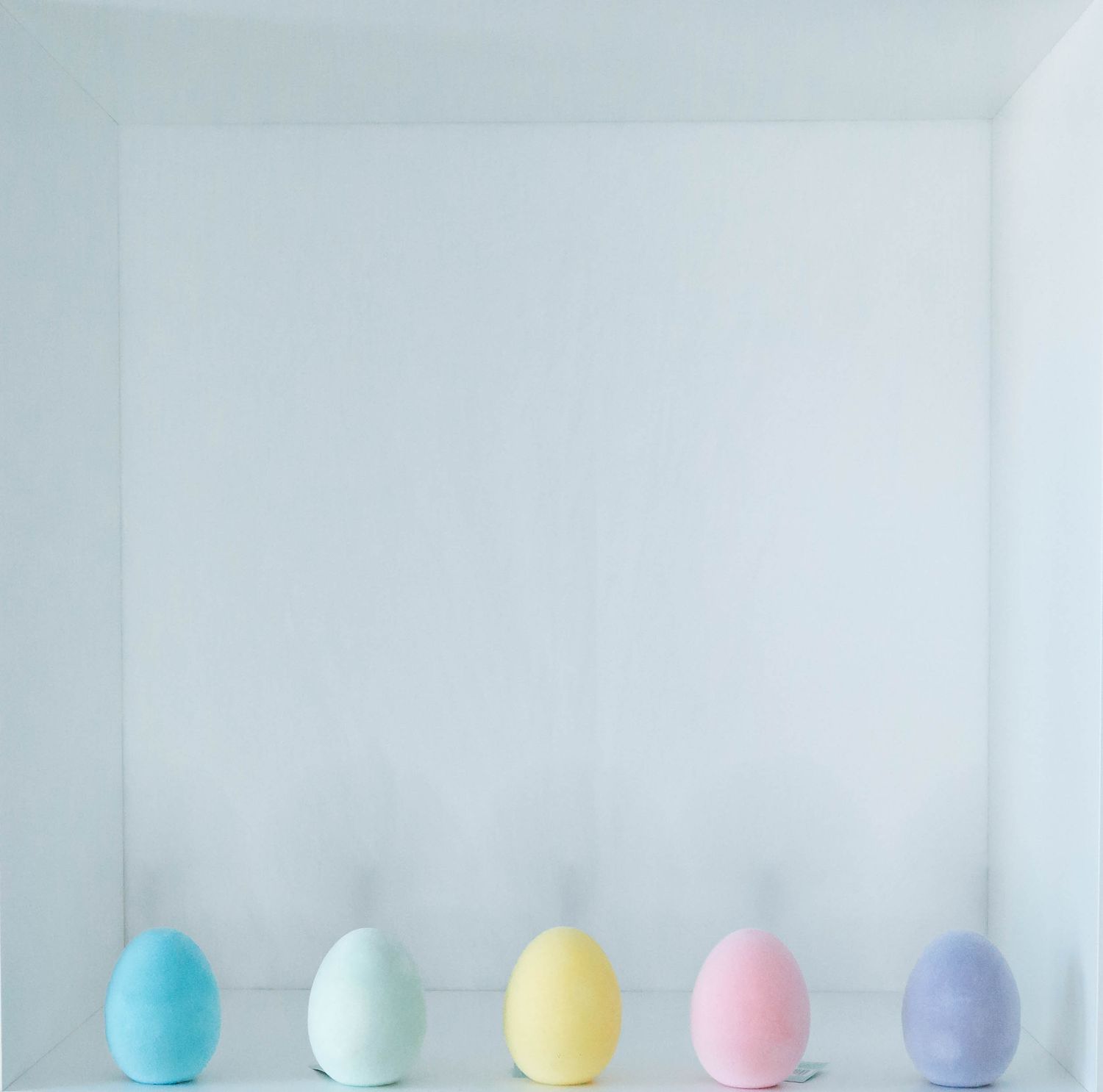 Row of pastel colored Easter eggs arranged in gradient from blue to purple on white surface.