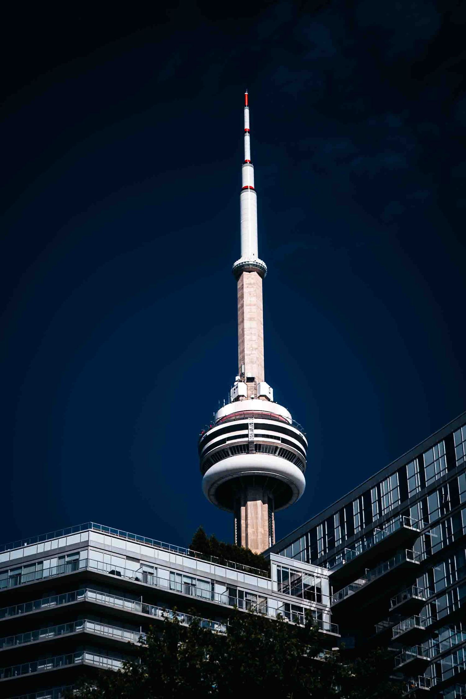 CN Tower photographed from street level against dark evening sky in Toronto.