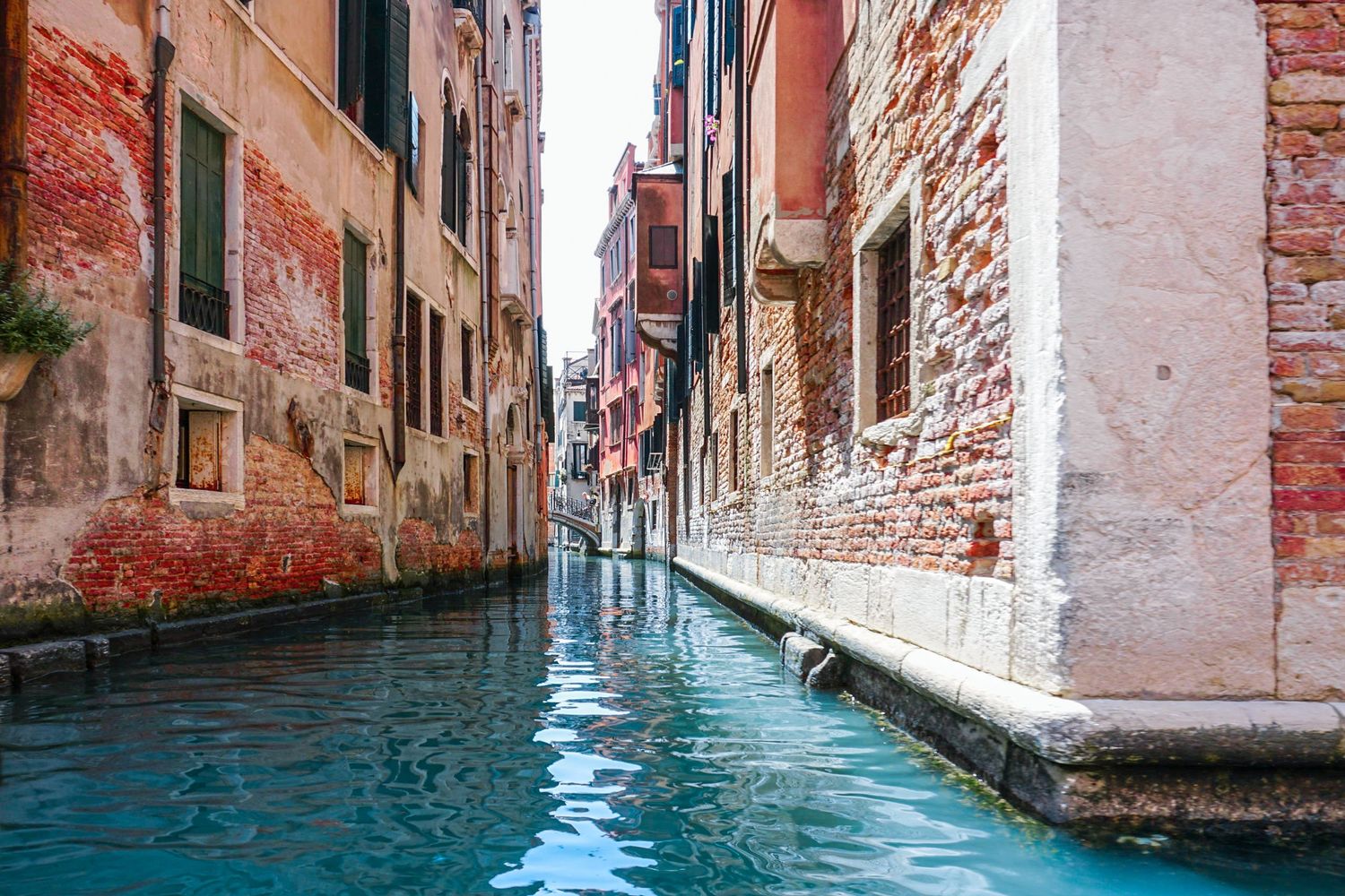 Narrow canal between historic buildings in Venice with red ivy growing on brick walls.