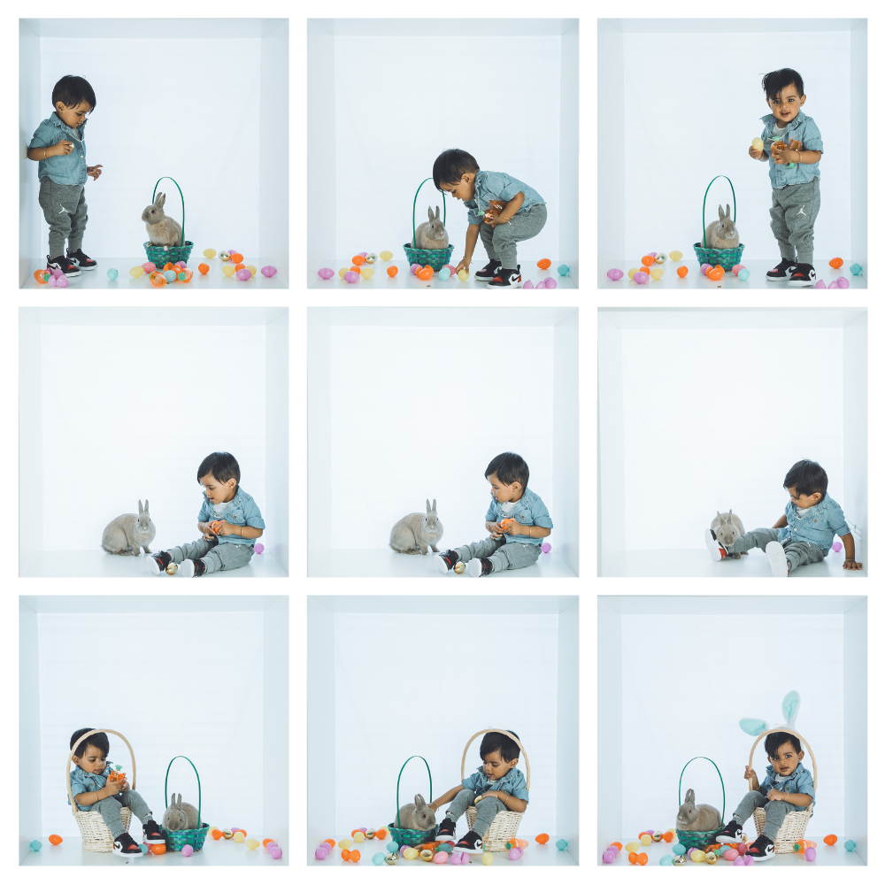 Multiple angles of Easter egg hunt activity captured in bright studio environment.