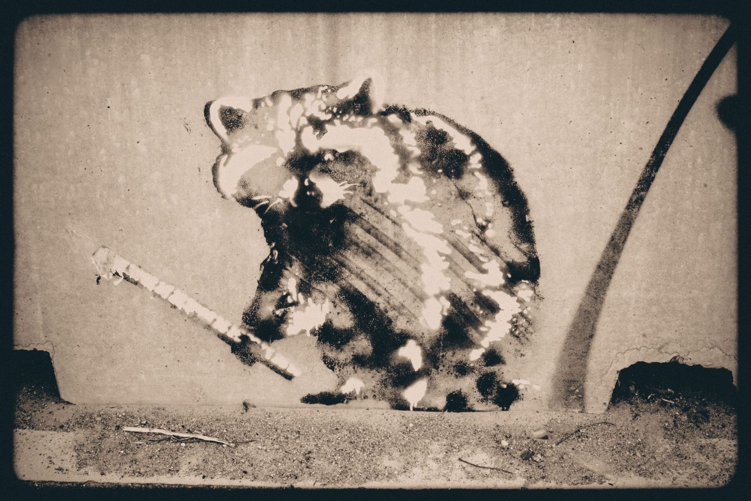 Black and white vintage style photograph showing abstract shapes and textures.