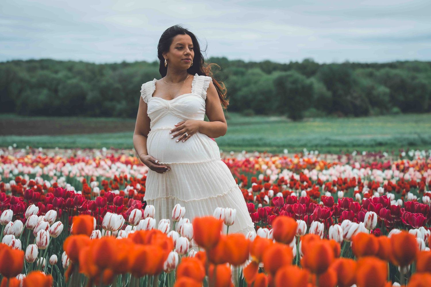 Maternity portrait in white dress surrounded by colorful spring tulip fields.