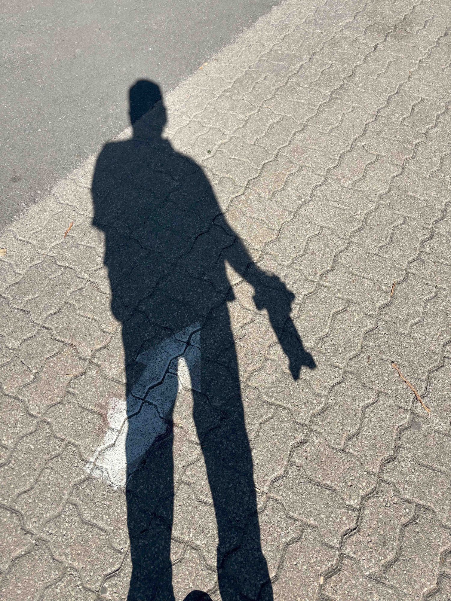 Series of shadow silhouettes cast on patterned concrete ground.