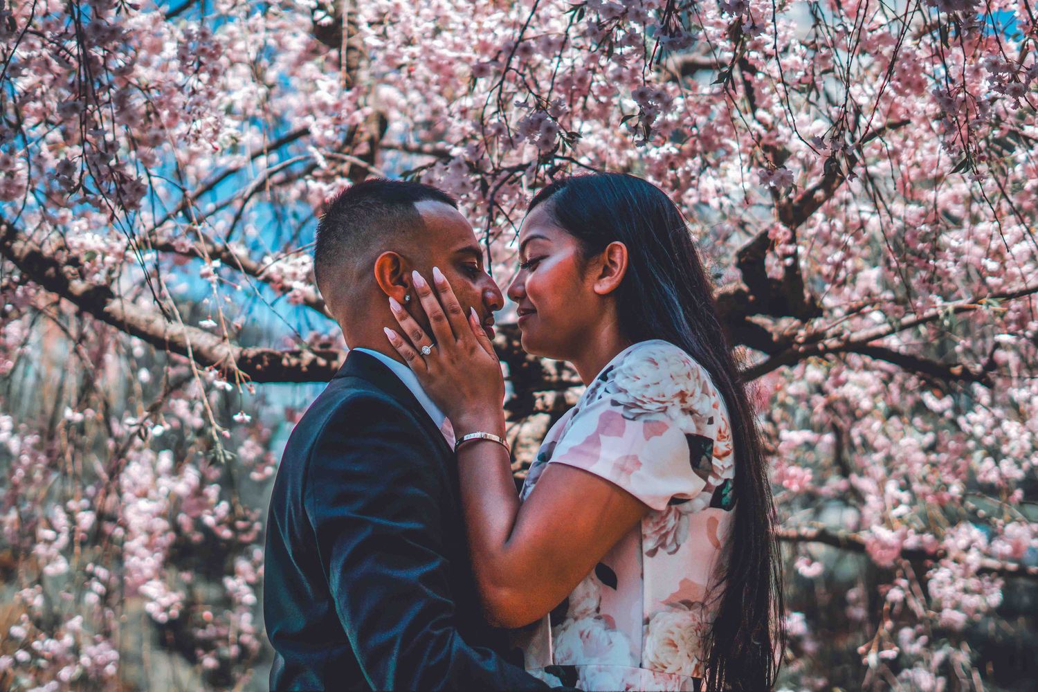 Couple sharing intimate moments under blooming pink cherry blossom trees in springtime.