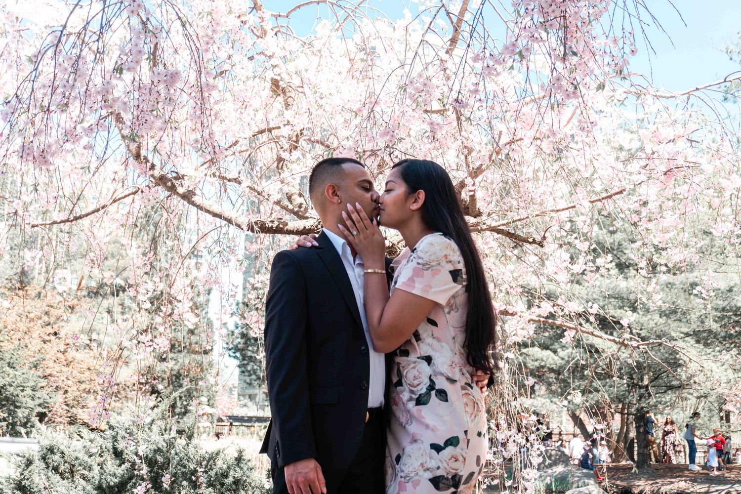 Cherry blossoms create a romantic backdrop for a couple's intimate moment in the garden.