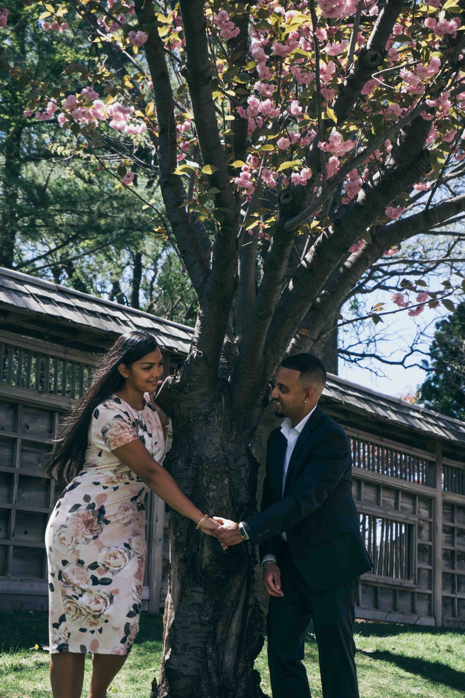 A couple shares a romantic moment under a blooming cherry blossom tree near a wooden structure.