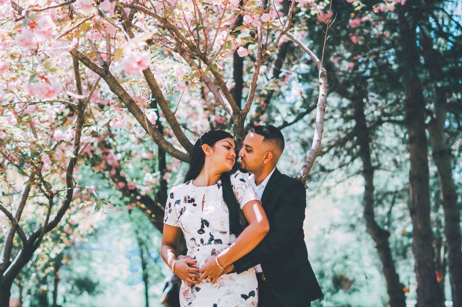 A romantic moment under blooming cherry blossoms in a dreamy spring setting.