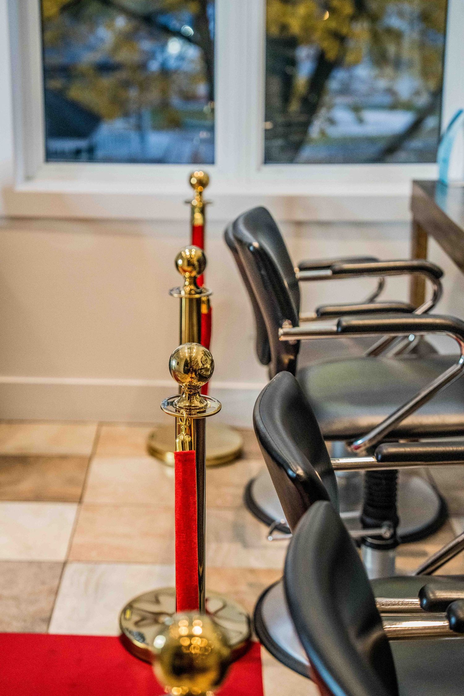 Elegant red velvet rope barrier with gold posts next to black leather salon chairs.