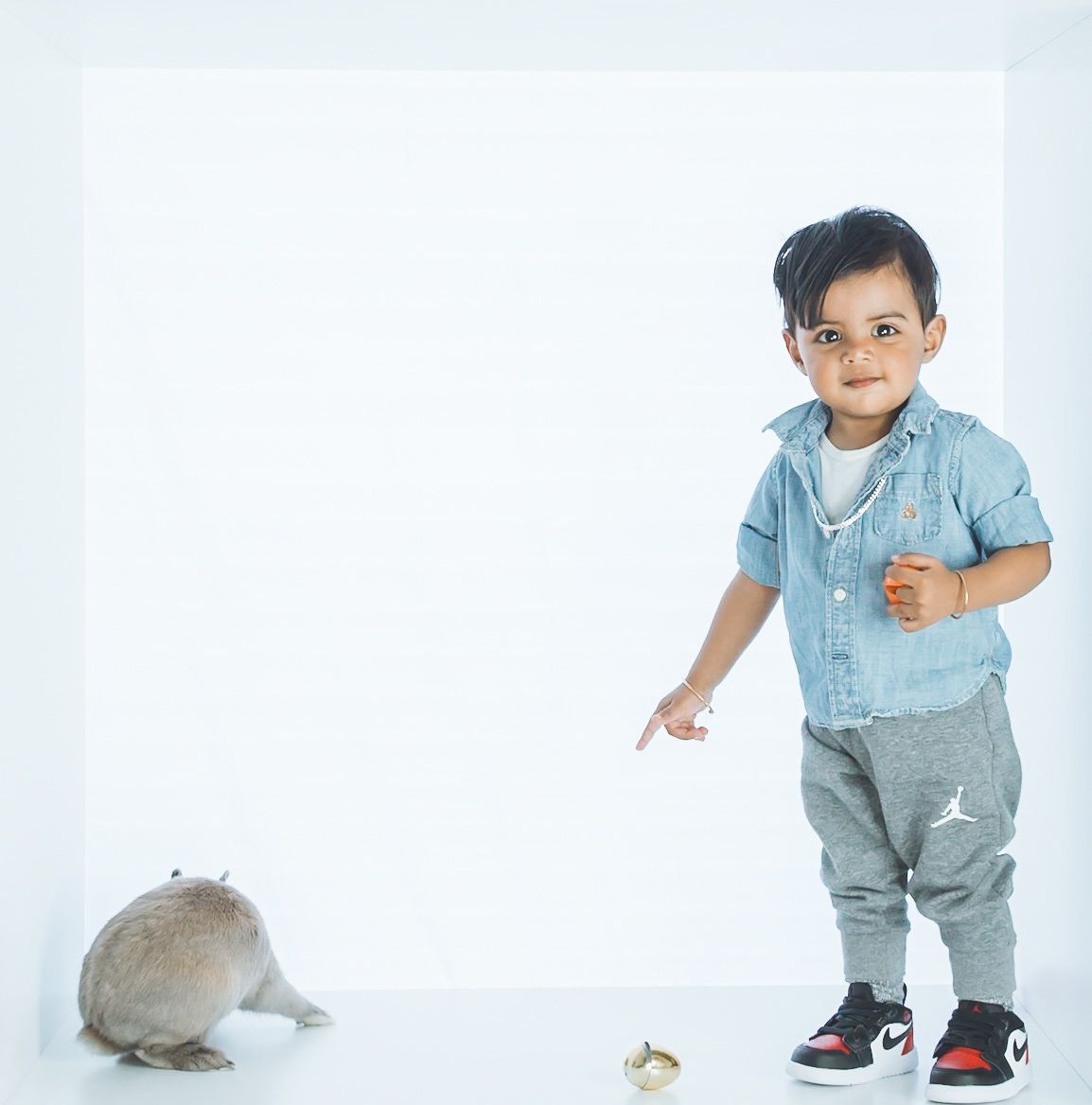 Toddler in light blue overalls and sneakers poses in a series of playful shots against white background.