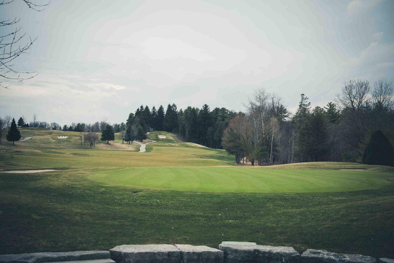 Scenic golf course with lush green fairways surrounded by trees under an overcast sky.