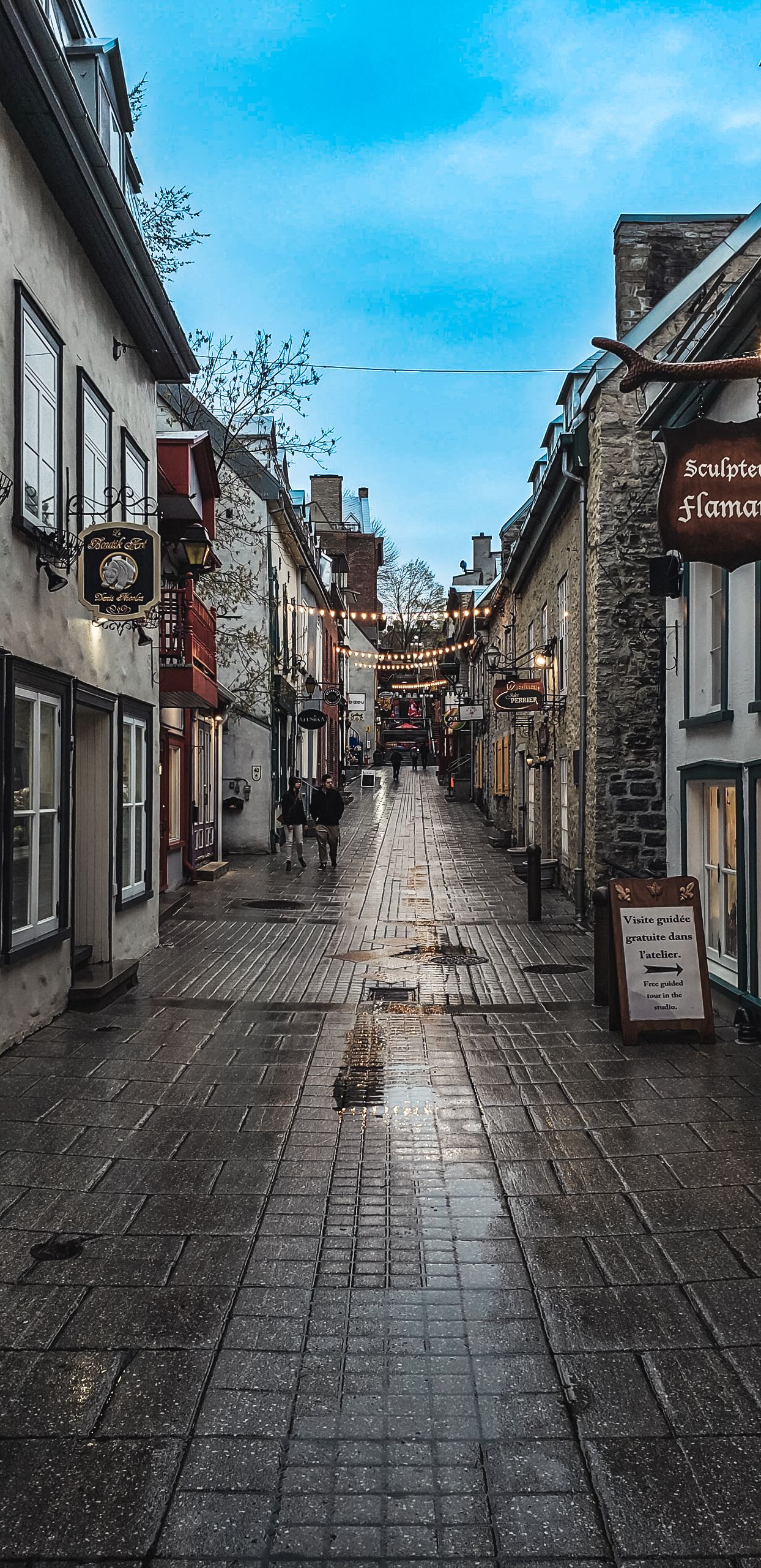 Empty cobblestone shopping street with traditional storefronts and string lights.