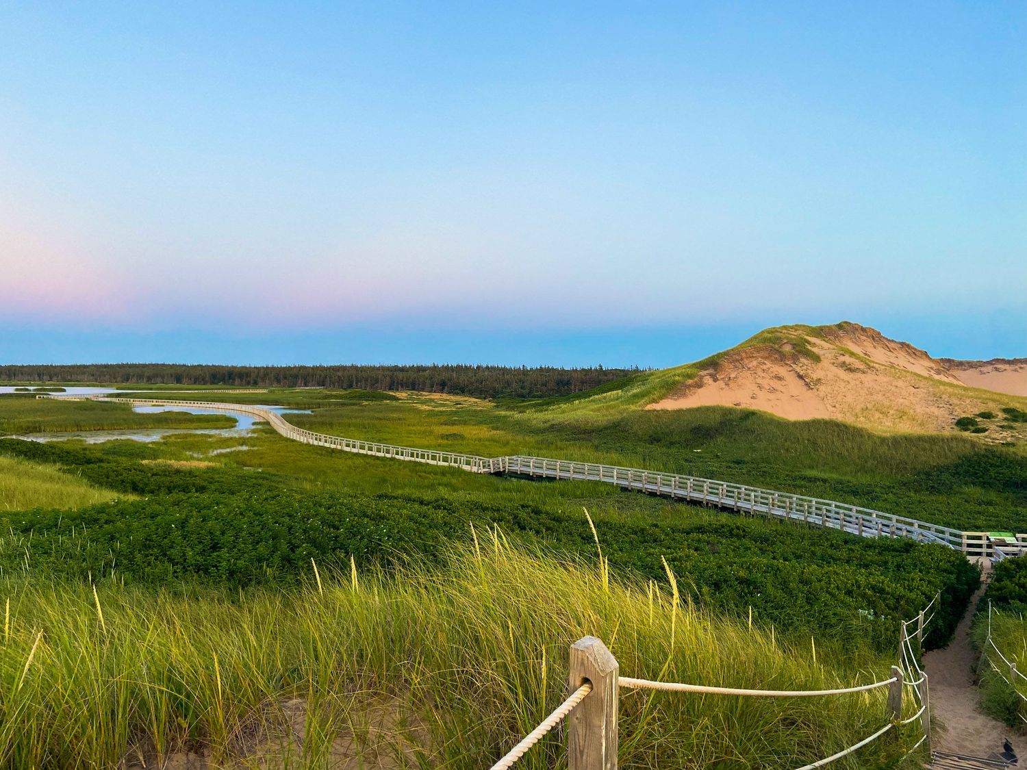 Scenic coastal boardwalk path winding through tall grass and dunes with ocean views at sunset.