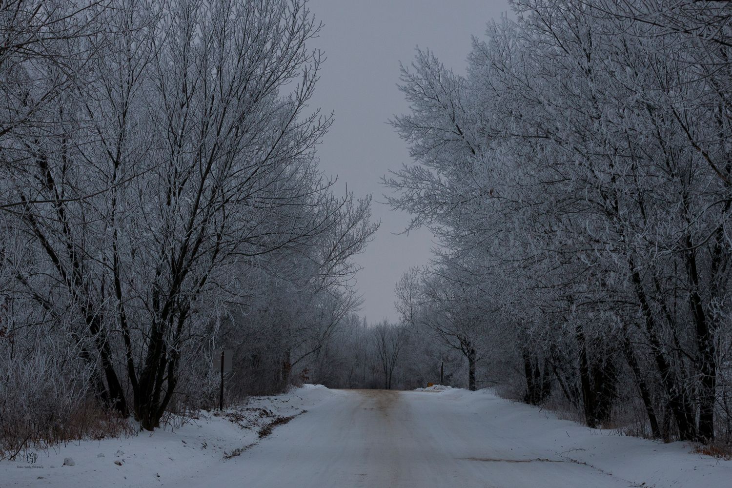 Scenic landscape photo in Northern MN featuring forest, snow, and natural light