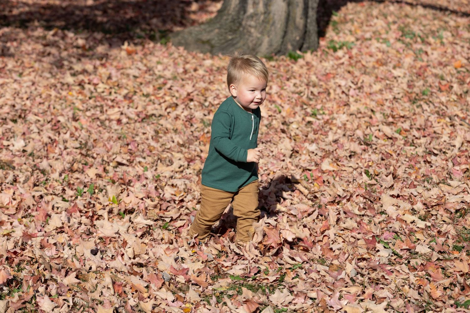 Lifestyle family photography in Northern MN capturing candid moments and genuine emotion
