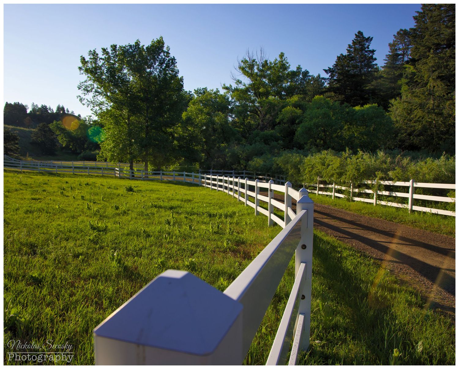A white fence running along a dirt drive with a meadow on the other side
