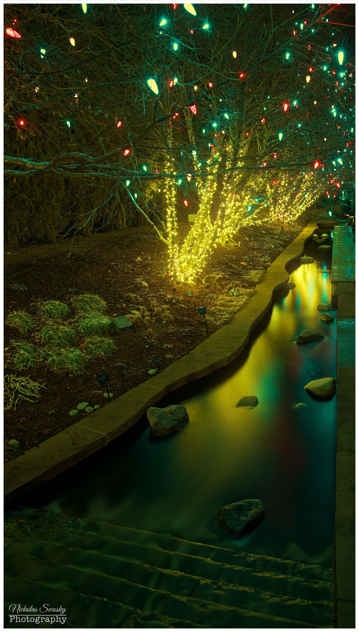 Long exposure photos of Christmas lights along a stream