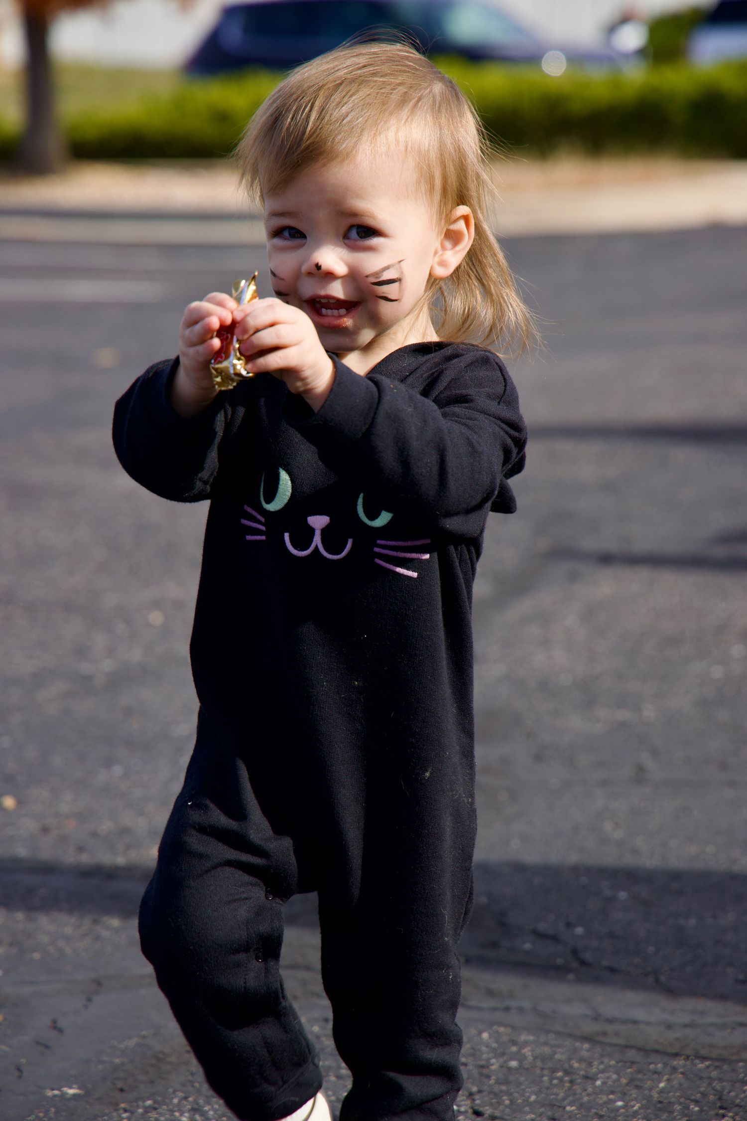 Todler dressed as a cat for halloween carrying candy
