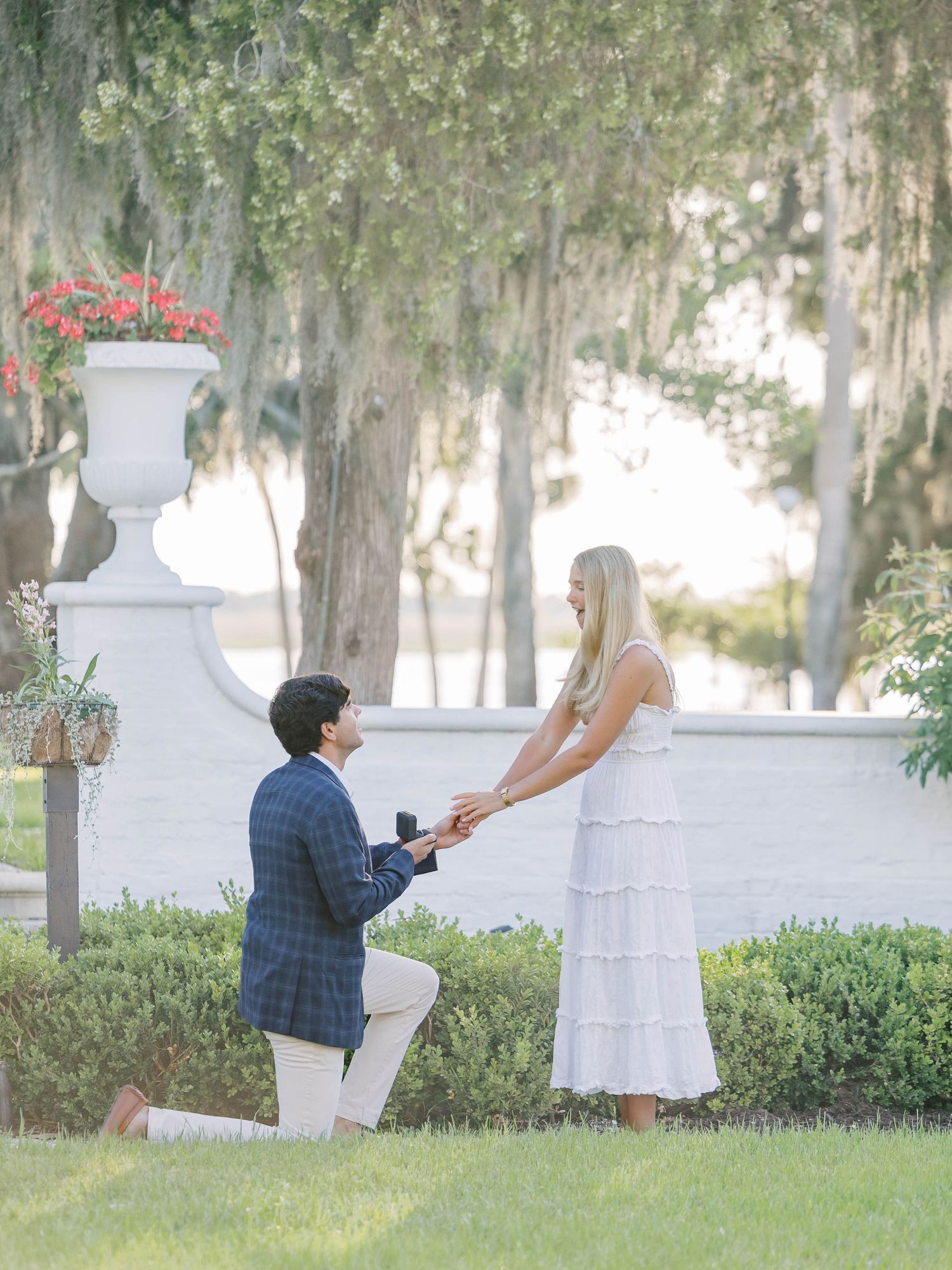 A man kneels on one knee proposing to a woman in a white dress outdoors near a garden with Spanish moss trees.