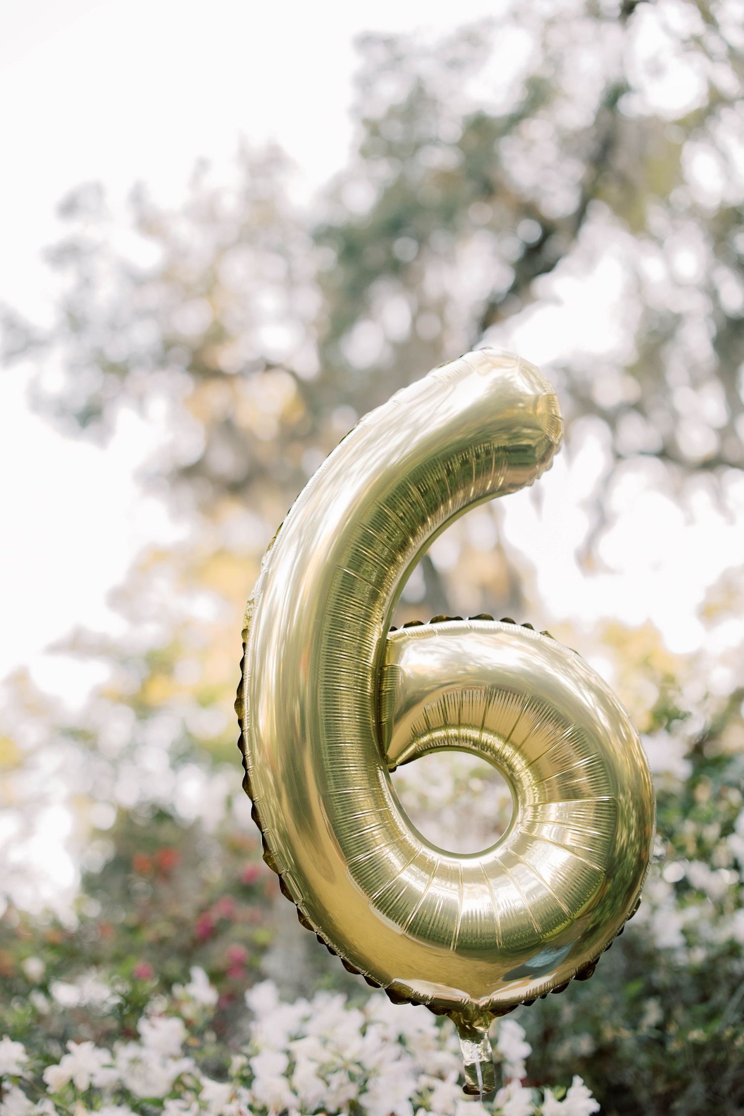 Gold number 6 foil balloon floating outdoors with blossoming white flowers and soft green trees in the background.