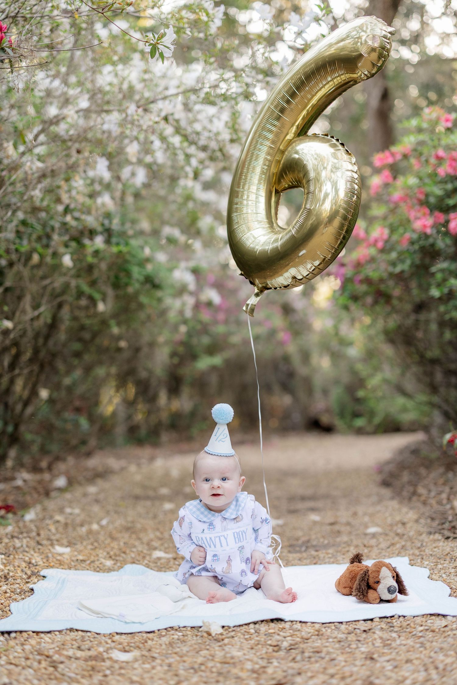 Baby in party hat sits on blanket outdoors holding gold number 6 balloon with stuffed dog toy beside them.