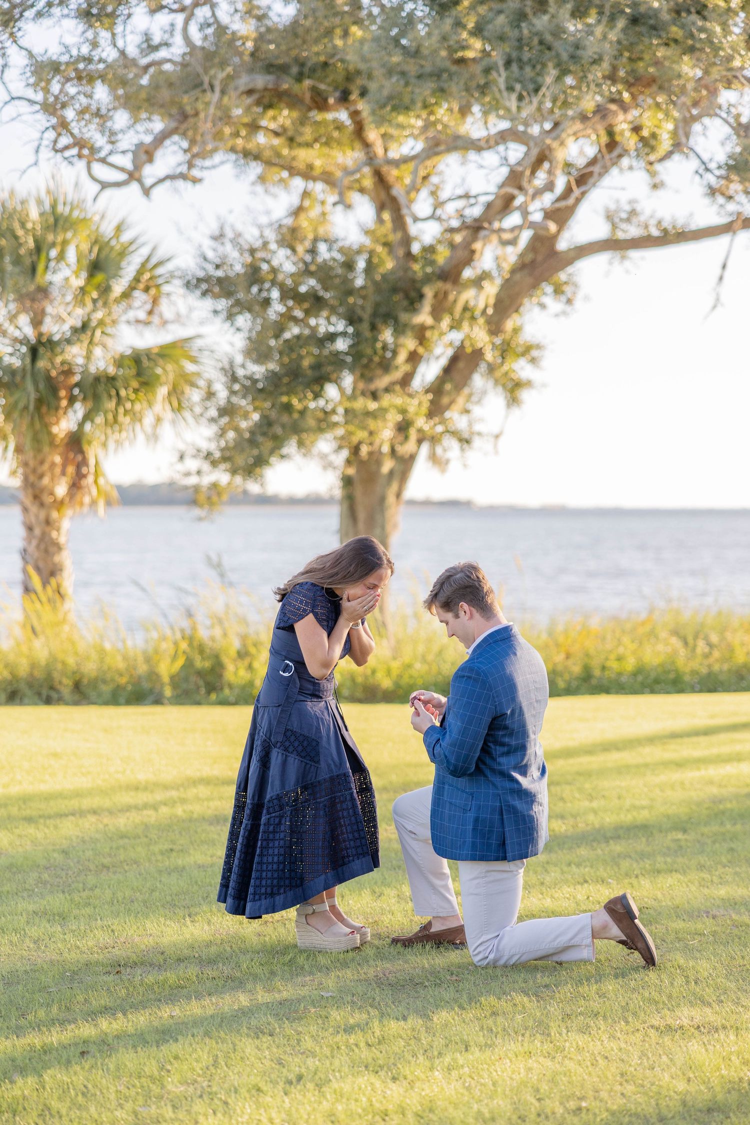 A romantic marriage proposal scene at sunset by the water with palm trees and golden light illuminating the grassy area.