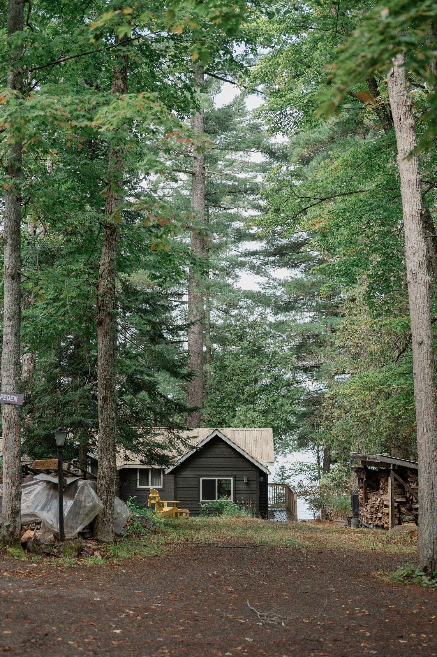 A rustic cabin nestled among tall pine trees in a peaceful wooded setting near a lake.