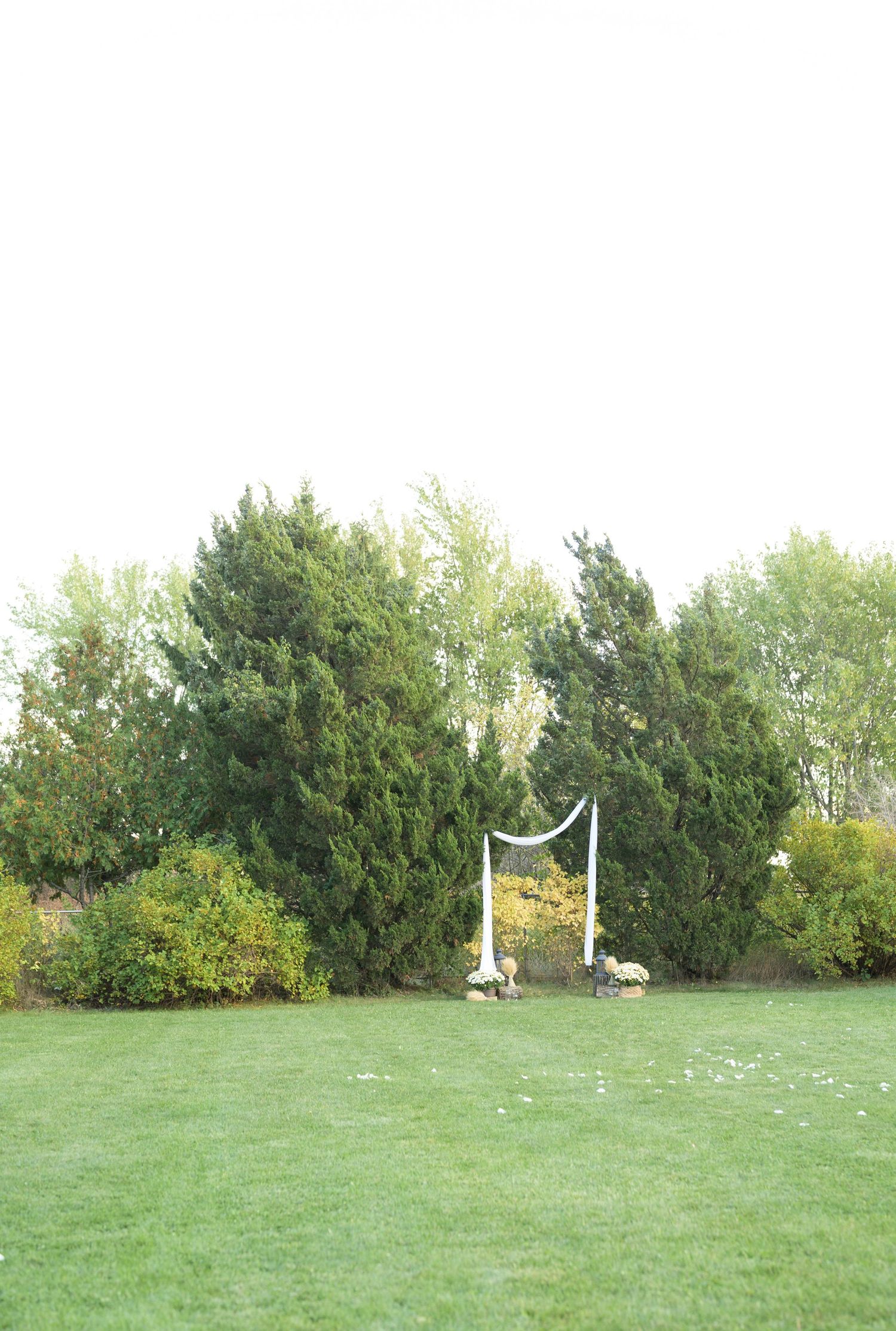 A scenic green lawn with white fabric drapes and trees in the background.