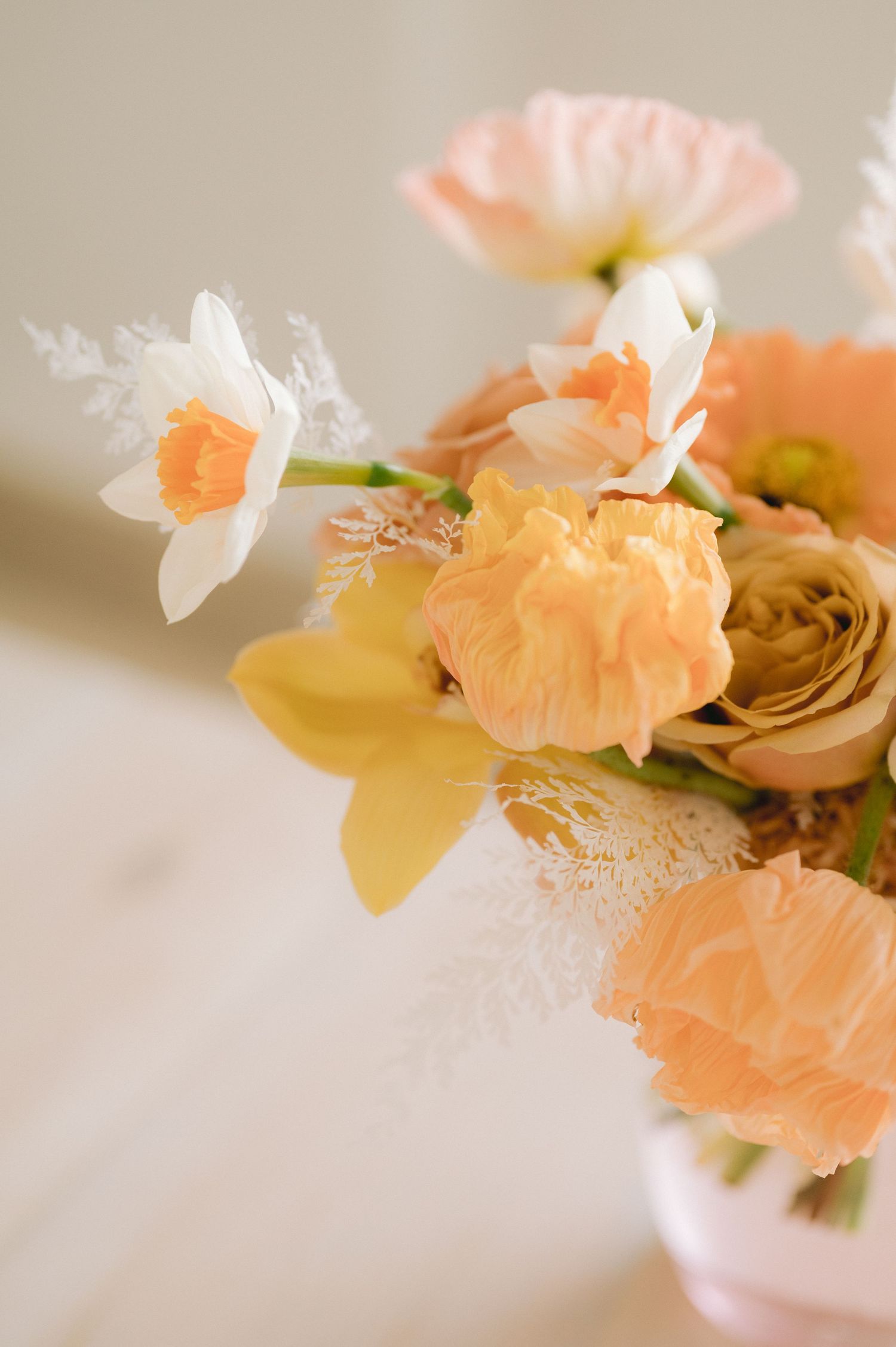 Delicate peach and cream colored flowers with soft petals create a dreamy romantic composition against a light background.