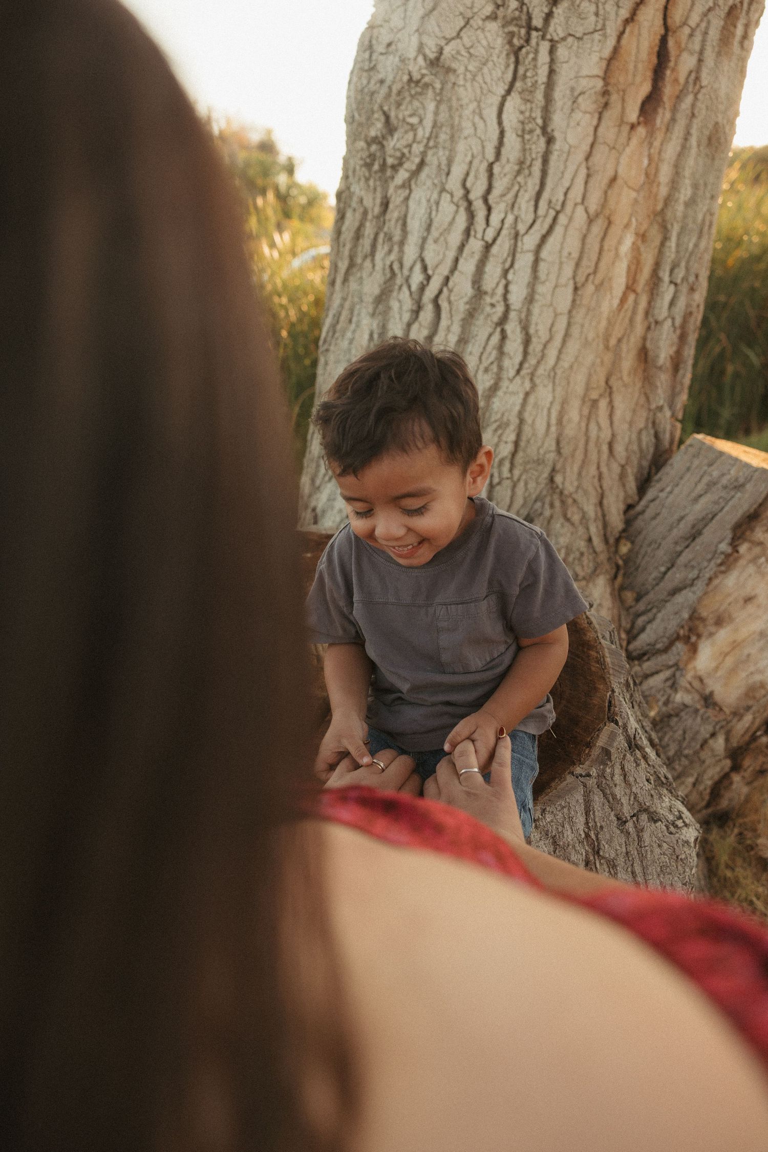 A smiling toddler boy in a gray shirt sits against a tree trunk holding his mothers hands outdoors at golden hour.