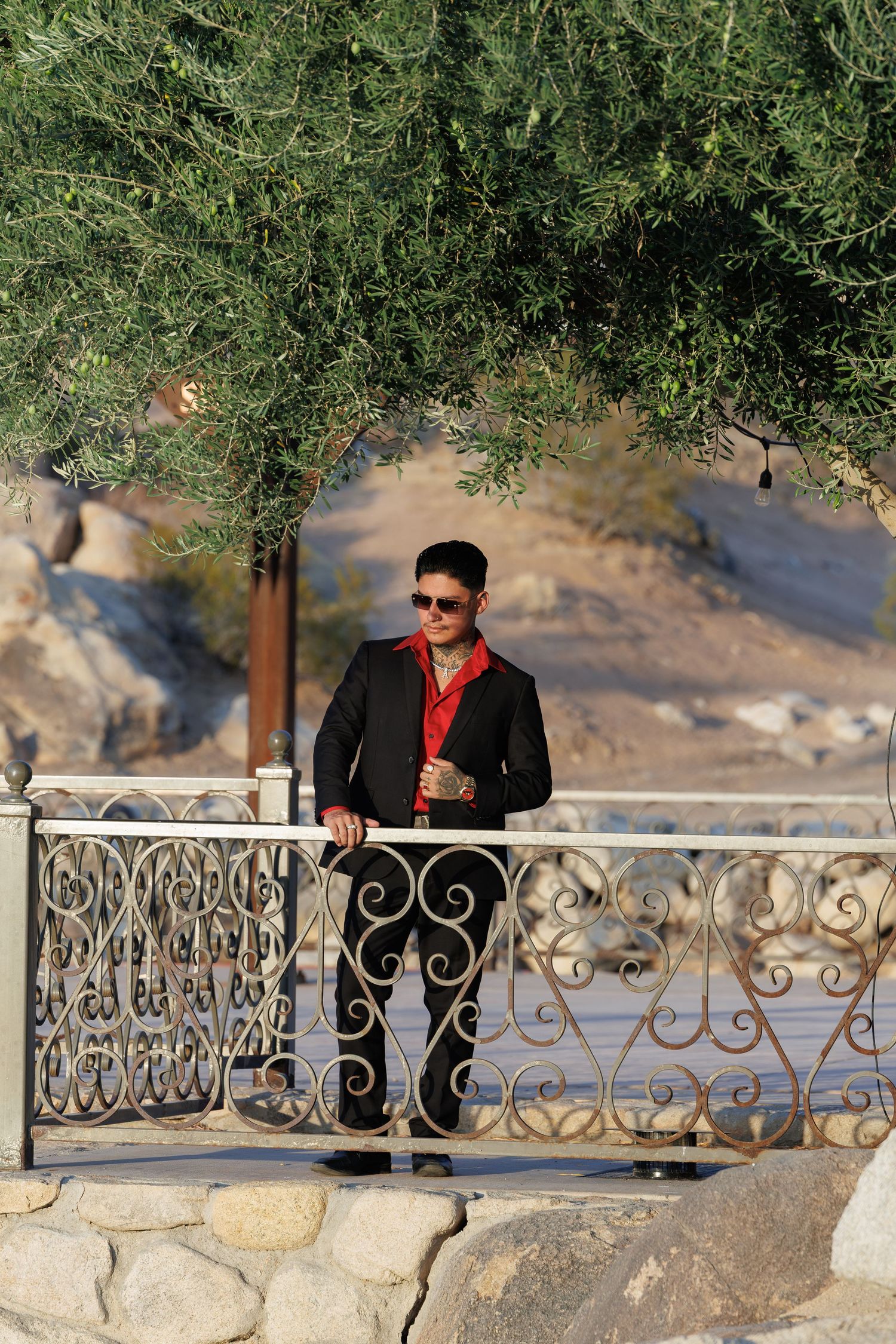 Stylish man in black suit and red shirt leaning on ornate iron fence with rocky landscape and green tree behind him.